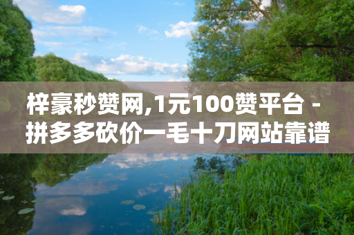 梓豪秒赞网,1元100赞平台 - 拼多多砍价一毛十刀网站靠谱吗 - 拼多多站外引流怎么做-第1张图片-靖非智能科技传媒