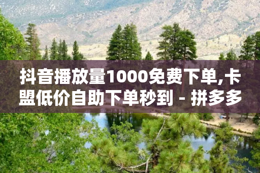 抖音播放量1000免费下单,卡盟低价自助下单秒到 - 拼多多700元有成功的吗 - 拼多多助力总站-第1张图片-靖非智能科技传媒