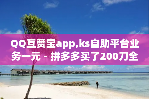 QQ互赞宝app,ks自助平台业务一元 - 拼多多买了200刀全被吞了 - 专门刷拼多多的软件-第1张图片-靖非智能科技传媒