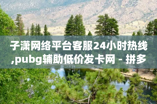 子潇网络平台客服24小时热线,pubg辅助低价发卡网 - 拼多多700元有成功的吗 - 拼多多一刀助力平台-第1张图片-靖非智能科技传媒