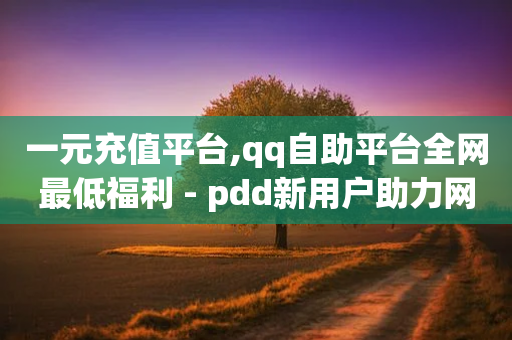 一元充值平台,qq自助平台全网最低福利 - pdd新用户助力网站 - 拼多多助力软件0元一个-第1张图片-靖非智能科技传媒