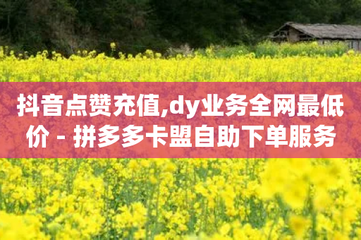 抖音点赞充值,dy业务全网最低价 - 拼多多卡盟自助下单服务 - 拼多多转盘兑换卡碎片