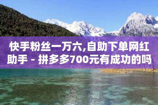 快手粉丝一万六,自助下单网红助手 - 拼多多700元有成功的吗 - 拼多多喵喵MOD菜单-第1张图片-靖非智能科技传媒