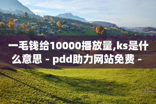 一毛钱给10000播放量,ks是什么意思 - pdd助力网站免费 - 拼多多到账700截图-第1张图片-靖非智能科技传媒