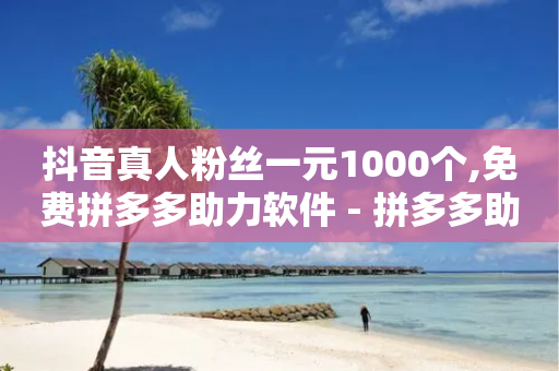 抖音真人粉丝一元1000个,免费拼多多助力软件 - 拼多多助力新用户网站 - 拼多多 钻石 兑换卡 积分-第1张图片-靖非智能科技传媒