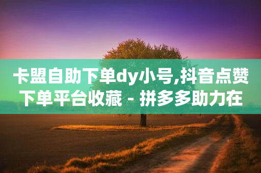 卡盟自助下单dy小号,抖音点赞下单平台收藏 - 拼多多助力在线 - 拼多多转盘700要几个新用户-第1张图片-靖非智能科技传媒