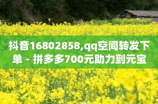 抖音16802858,qq空间转发下单 - 拼多多700元助力到元宝了 - 刷助力-第1张图片-靖非智能科技传媒