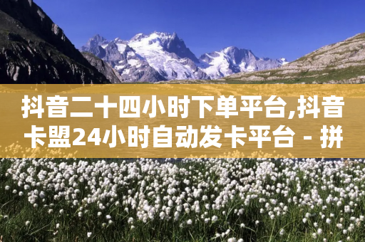 抖音二十四小时下单平台,抖音卡盟24小时自动发卡平台 - 拼多多最后0.01碎片 - 拼多多0.01个元宝不动了