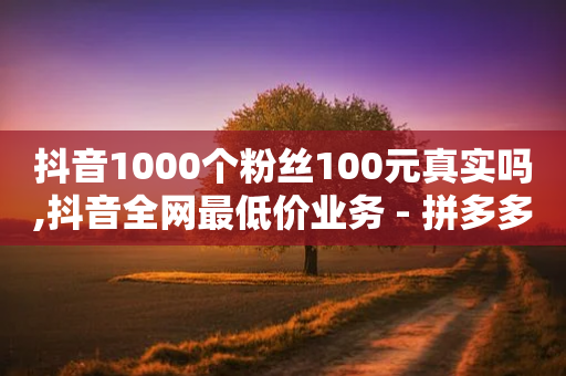 抖音1000个粉丝100元真实吗,抖音全网最低价业务 - 拼多多砍一刀网站 - 拼多多幸运值99.99之后会怎么样-第1张图片-靖非智能科技传媒