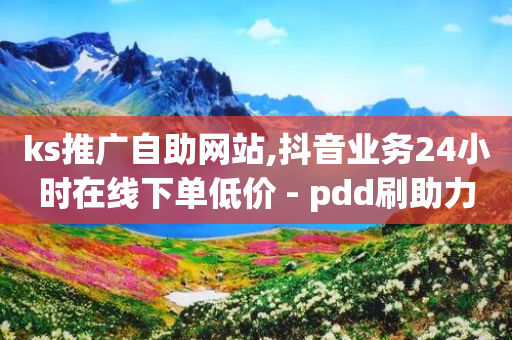 ks推广自助网站,抖音业务24小时在线下单低价 - pdd刷助力软件 - 助力软件