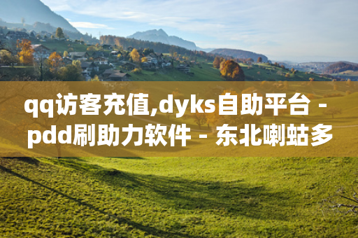 qq访客充值,dyks自助平台 - pdd刷助力软件 - 东北喇蛄多少钱一斤-第1张图片-靖非智能科技传媒