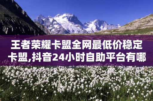 王者荣耀卡盟全网最低价稳定卡盟,抖音24小时自助平台有哪些 - 拼多多一毛十刀平台 - 拼多多50有人领到吗-第1张图片-靖非智能科技传媒