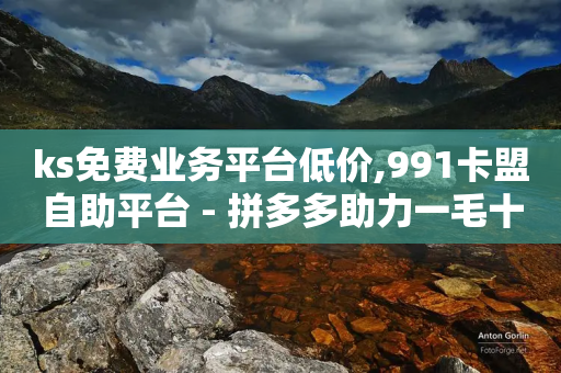 ks免费业务平台低价,991卡盟自助平台 - 拼多多助力一毛十刀网站 - wb下单平台网站-第1张图片-靖非智能科技传媒