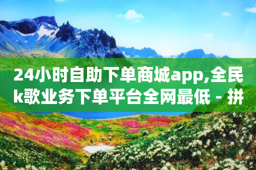 24小时自助下单商城app,全民k歌业务下单平台全网最低 - 拼多多刷助力软件 - 领现金的软件-第1张图片-靖非智能科技传媒