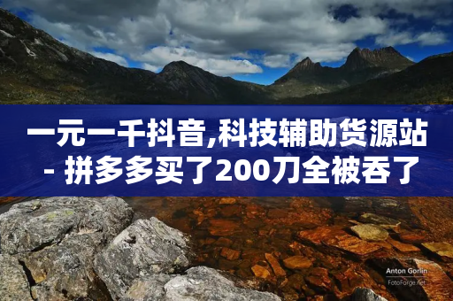 一元一千抖音,科技辅助货源站 - 拼多多买了200刀全被吞了 - 拼多多助力最简单方法