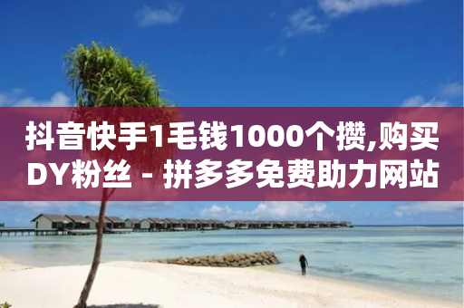 抖音快手1毛钱1000个攒,购买DY粉丝 - 拼多多免费助力网站 - 拼多多网店自己可以购买么-第1张图片-靖非智能科技传媒