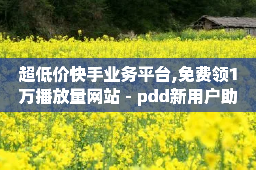 超低价快手业务平台,免费领1万播放量网站 - pdd新用户助力网站 - 砍人软件