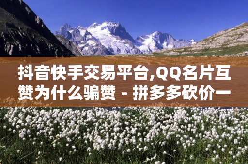 抖音快手交易平台,QQ名片互赞为什么骗赞 - 拼多多砍价一元10刀 - 拼多多助力可以用QQ吗-第1张图片-靖非智能科技传媒